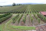 B- 326